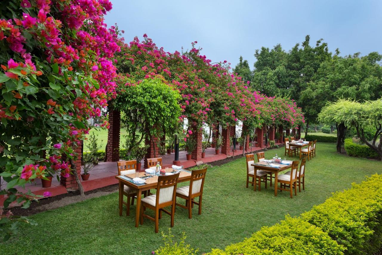 Naturoville Wellness Resort Rishikesh - Surrounded By Nature, Rooted In Wellness Doiwāla エクステリア 写真